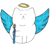 Panzetto angelo